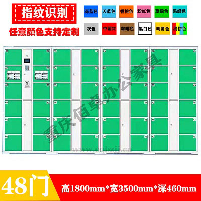 48門果綠指紋系統